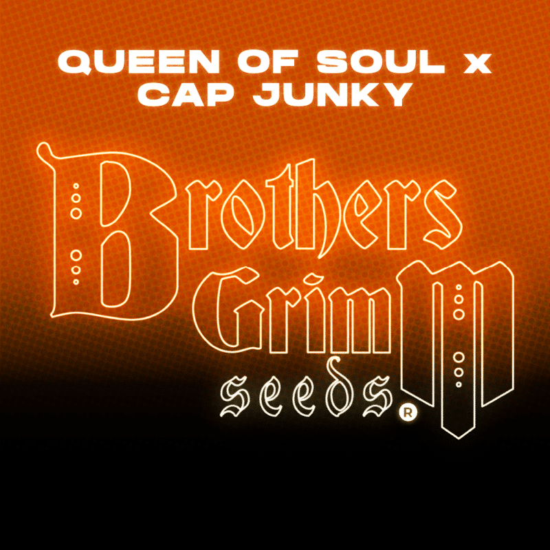 Brother's Grimm > Queen of Soul x CAP Junky