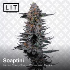 LIT Farms > Soaptini