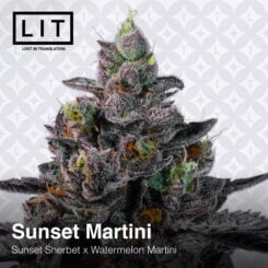 LIT Farm > Sunset Martini