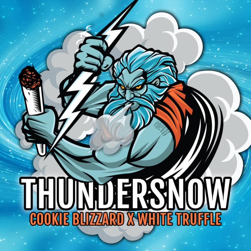 Elev8 Thundersnow