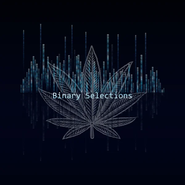 Binary Selections's logo or representative image