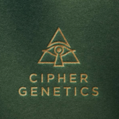 Cipher Genetics Cannabis Seeds