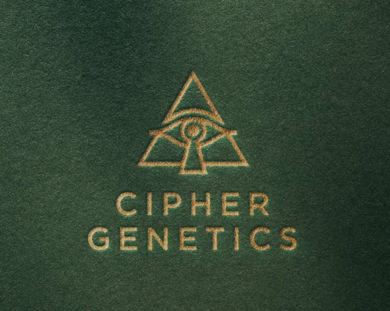 Cipher Genetics Cannabis Seeds