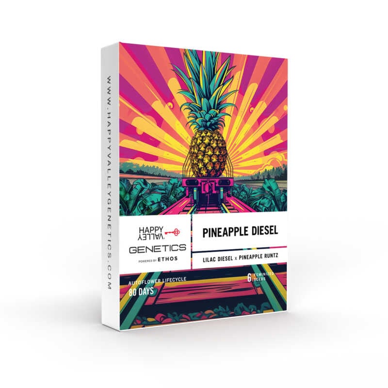 A box of Pineapple Diesel Auto seeds from Happy Valley Genetics features a colorful illustration of a pineapple set against a vibrant, sunset-like background. The package indicates an 80-day autoflower lifecycle.