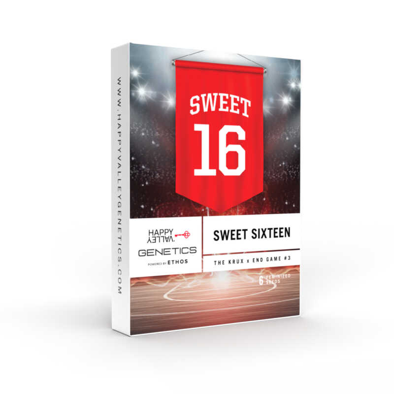 Box for Happy Valley Genetics' "Sweet 16 (F)" product, featuring a red banner with "Sweet 16" in white text and additional product information. This elegant packaging draws inspiration from women's fashion, offering a chic and stylish presentation.