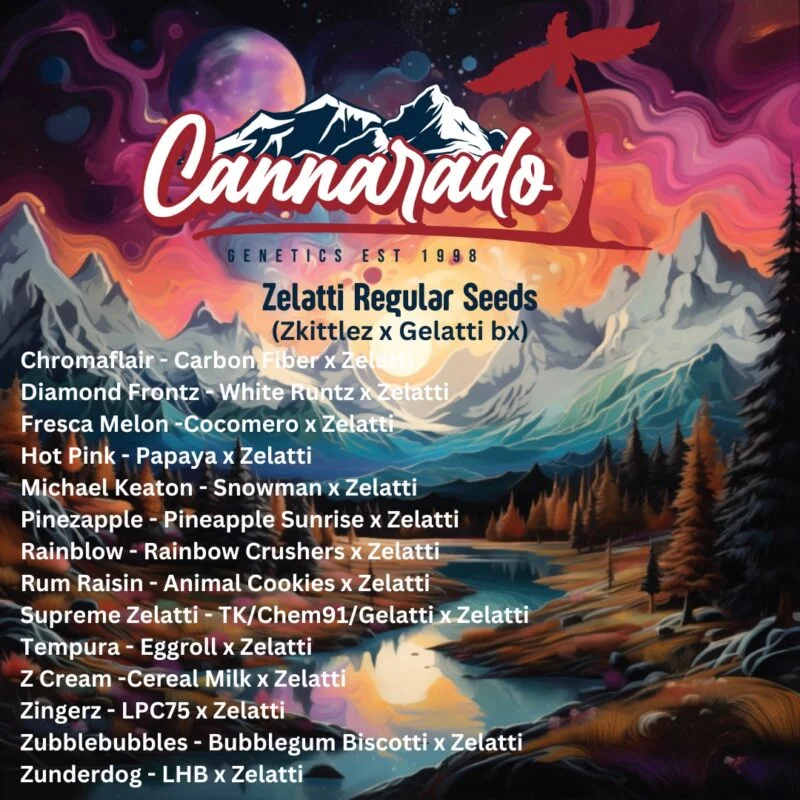 Image of a colorful advertisement for Cannarado Genetics showcasing various cannabis seed strains, particularly highlighting the "Hot Pink (R)," with bold hot pink accents, along with a list of different strain combinations.