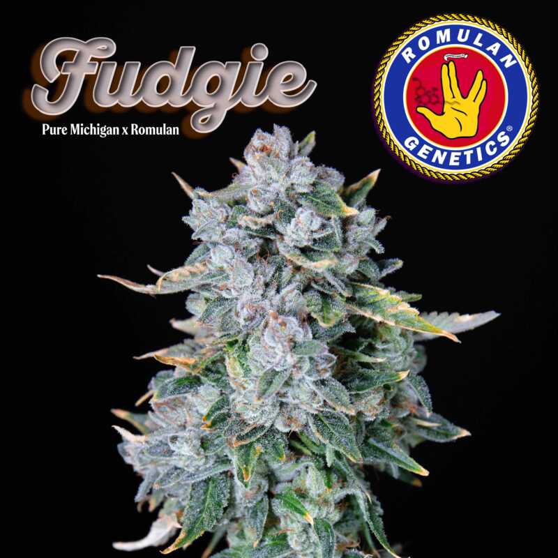 romulan genetics fudgie f1, weed seeds marijuana seeds cannabis seeds