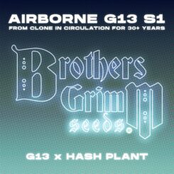 Brother's Grimm Airborn G13 S1 Limited Edition Tester