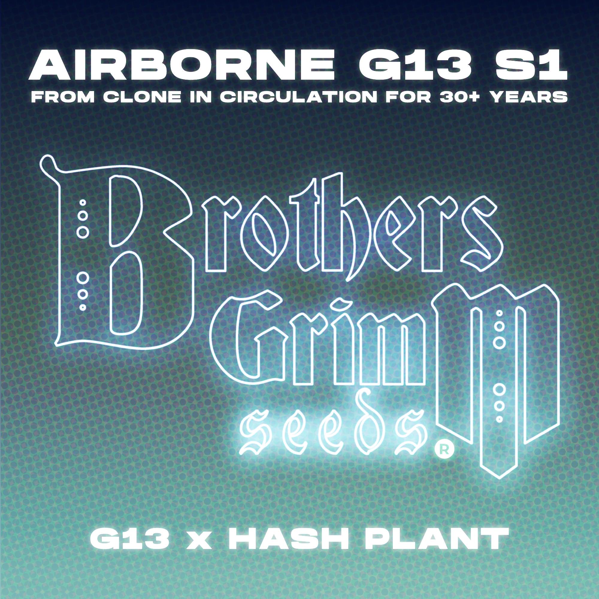 Airborne G13 S1 [LIMITED EDITION TESTER]