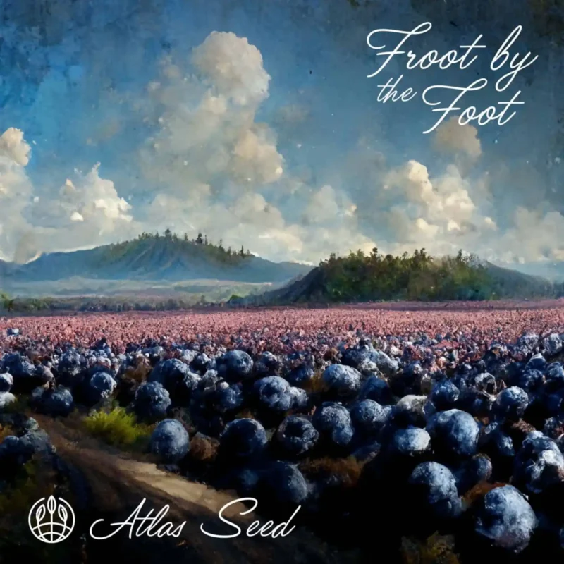 A vibrant field filled with large, round, blue fruits under a partly cloudy sky with distant hills. The text "Froot by the Foot Auto" and "Atlas Seed" is displayed on the image. The scene evokes a sense of natural wonder, almost like it was designed by Auto for a perfect agricultural dreamscape.