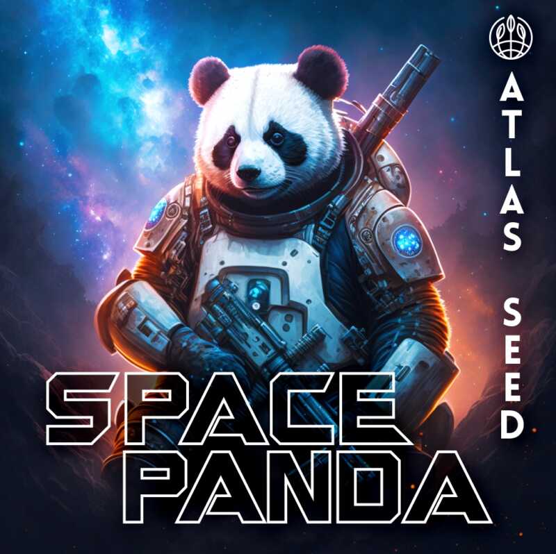 Space Panda Art