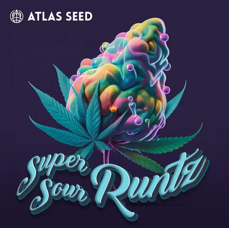 Super Sour Runtz by Atlas Seed ART