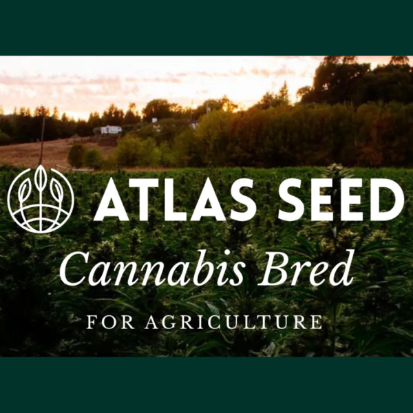 Atlas Seed's logo or representative image