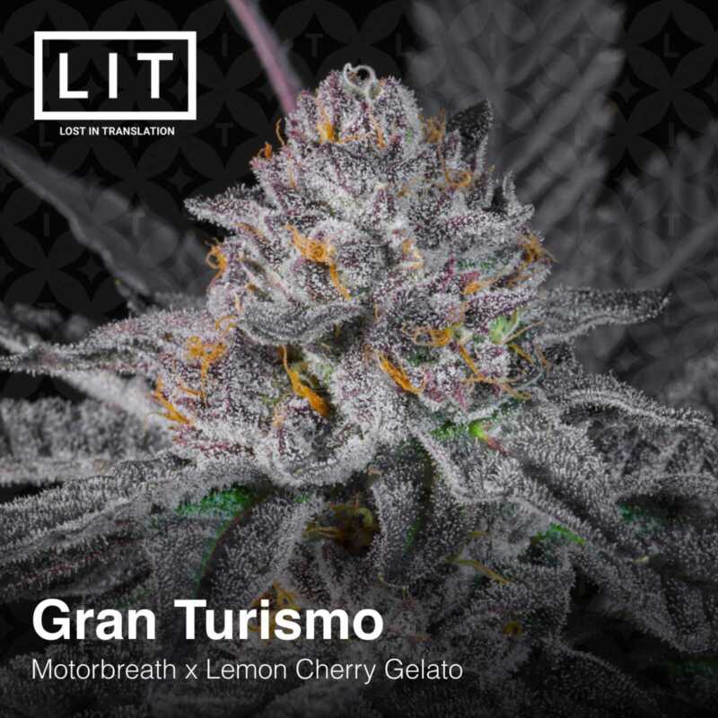 Close-up image of a cannabis flower bud from the Gran Turismo strain with visible trichomes. The image has text indicating "LIT" and "Lost in Translation" at the top left and strain details at the bottom, scoring Gran Turismo [7/10 drop].