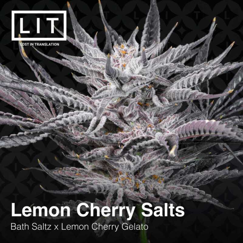 Close-up of a frosty, dense cannabis flower with trichomes visible, featuring a text overlay: "Lemon Cherry Salts [7/10 drop]". Get ready for the 7/10 drop!