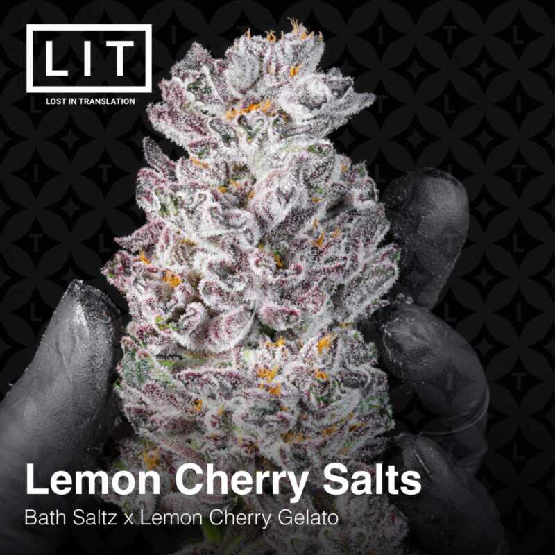 Close-up of a person holding a frosty cannabis bud labeled "Lemon Cherry Salts [7/10 drop]" from Lost in Translation (LIT). The text mentions "Bath Saltz x Lemon Cherry Gelato." The bud, part of their 7/10 drop, is dense and covered in trichomes.