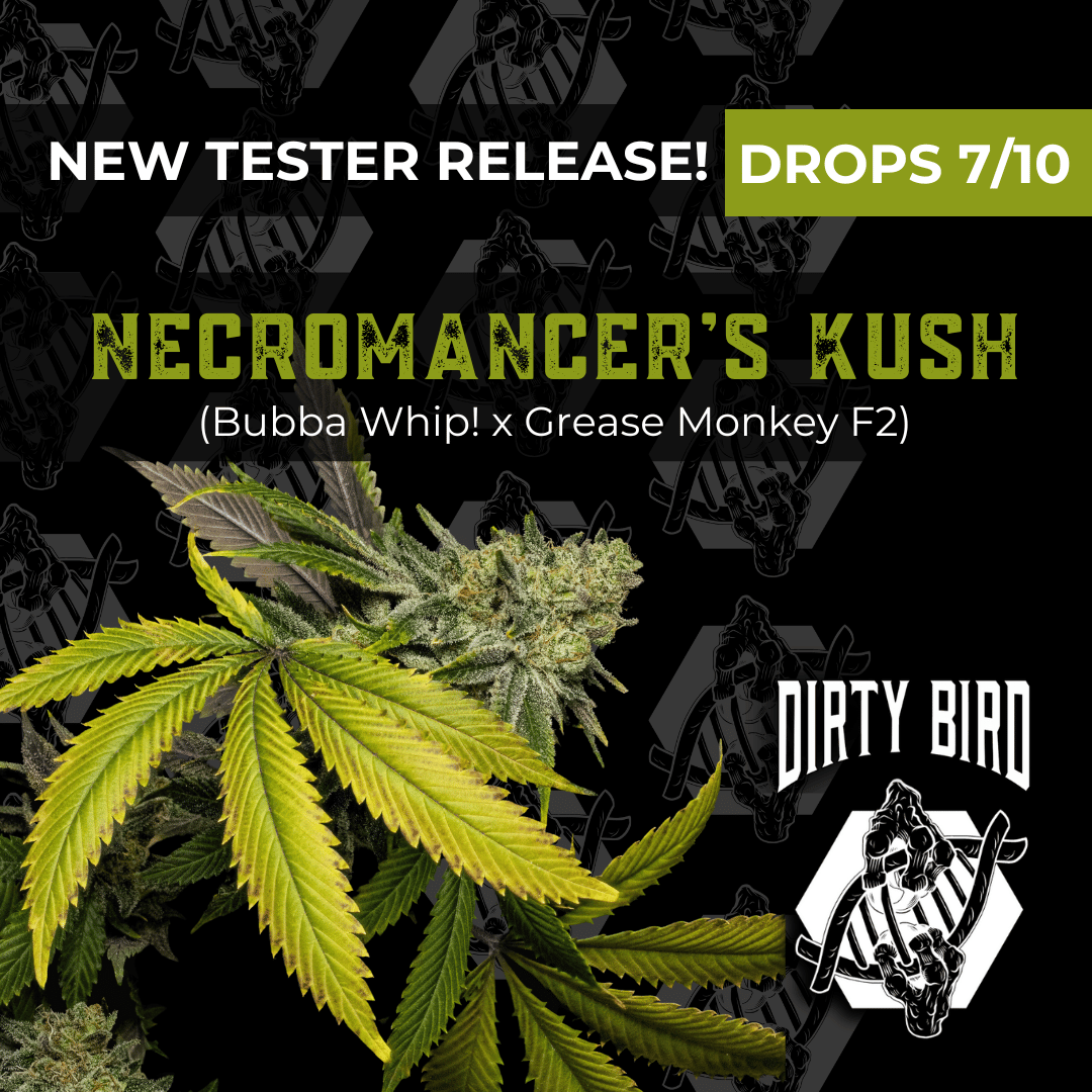 Advertisement for the new tester release of "Necromancer’s Kush" cannabis strain by Dirty Bird, set to drop on July 10. The image features cannabis leaves and buds with branding elements.