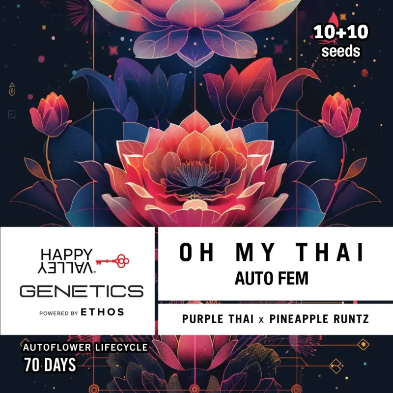 Happy Valley Genetics > Oh My Thai 10+10 seeds