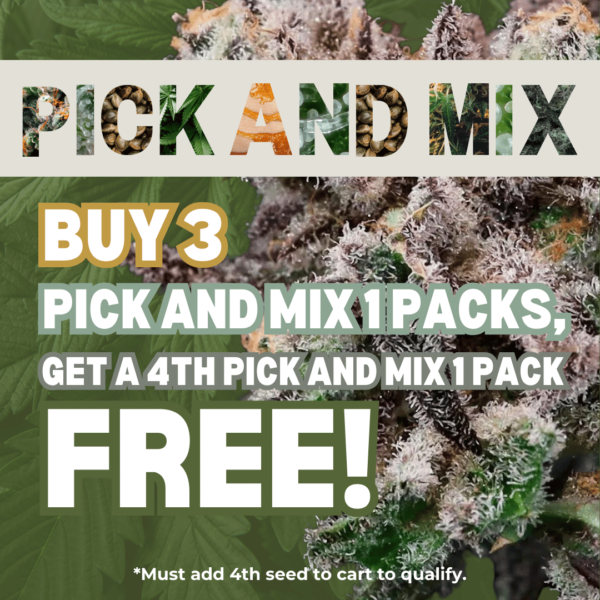 Pick and Mix's promotional image