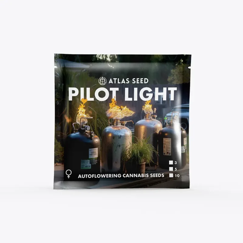 Packaging of Pilot Light Auto