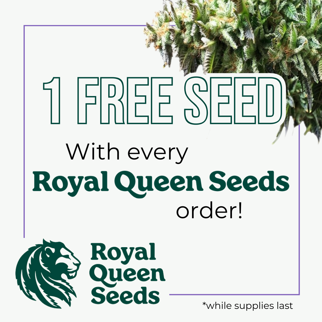 Promotional offer from Green House Seed Co. stating "Get 1 Free Seed with every Green House Seed Co. pack purchased!" with a note "*While supplies last" below.
