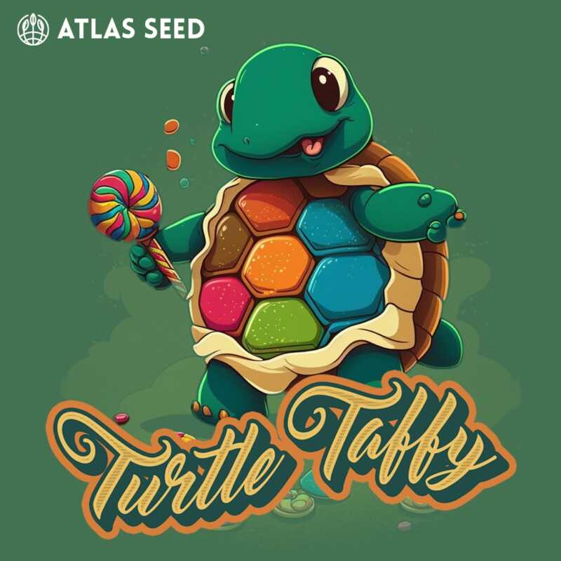 A cartoon turtle holding a lollipop, showcasing a vibrant hexagonal candy shell with the text "Turtle Taffy Auto" on a green background.