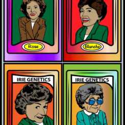 Illustrated portraits of four women, labeled as Rose, Blanche, Dorothy, and Sophia are displayed in differently colored frames under the heading "Golden Girls Bundle (F)," complete with the charming touch of Irie Genetics.