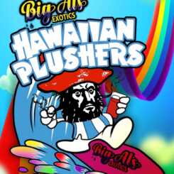 Colorful advertisement for "Oz Kush x Hawaiian Plushers (R)" featuring a cartoon pirate surfing an Oz Kush wave, with a vibrant rainbow in the background.