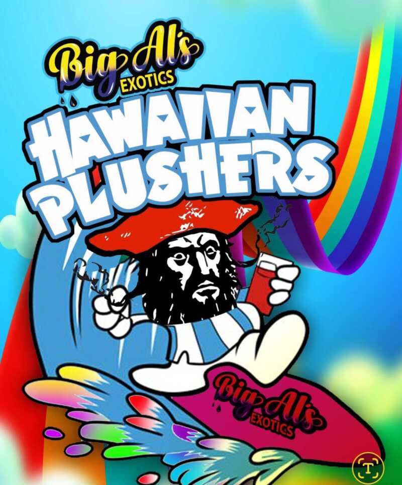 Colorful advertisement for "Oz Kush x Hawaiian Plushers (R)" featuring a cartoon pirate surfing an Oz Kush wave, with a vibrant rainbow in the background.