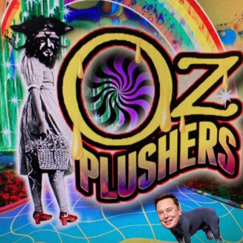 A colorful poster with the title "Oz Kush x Hawaiian Plushers (R)" featuring a stylized figure of Dorothy from "The Wizard of Oz" with the face of a pirate, and another individual's face edited into the foreground.