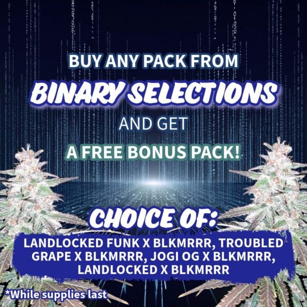 Binary Selections's promotional image