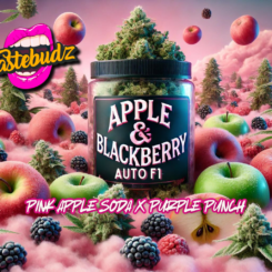 TasteBudz > Apple & Blackberry cannabis seeds, marijuana seeds, weed seeds