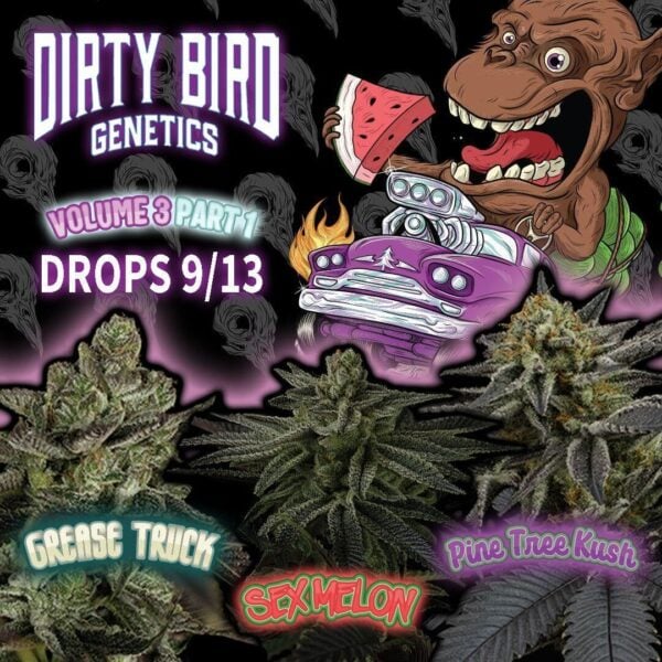 Dirty Bird Genetics - Volume 3 Part 1's promotional image