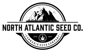 Cannabis Seeds for Sale | North Atlantic Seed Co.