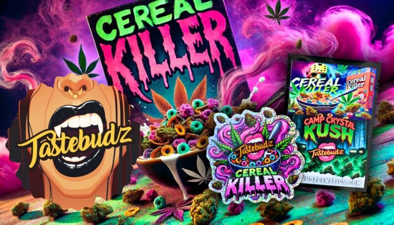 Tastebudz Halloween Cereal & Camp Crystal Kush