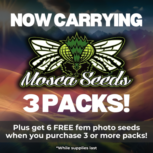 Mosca Seeds's promotional image