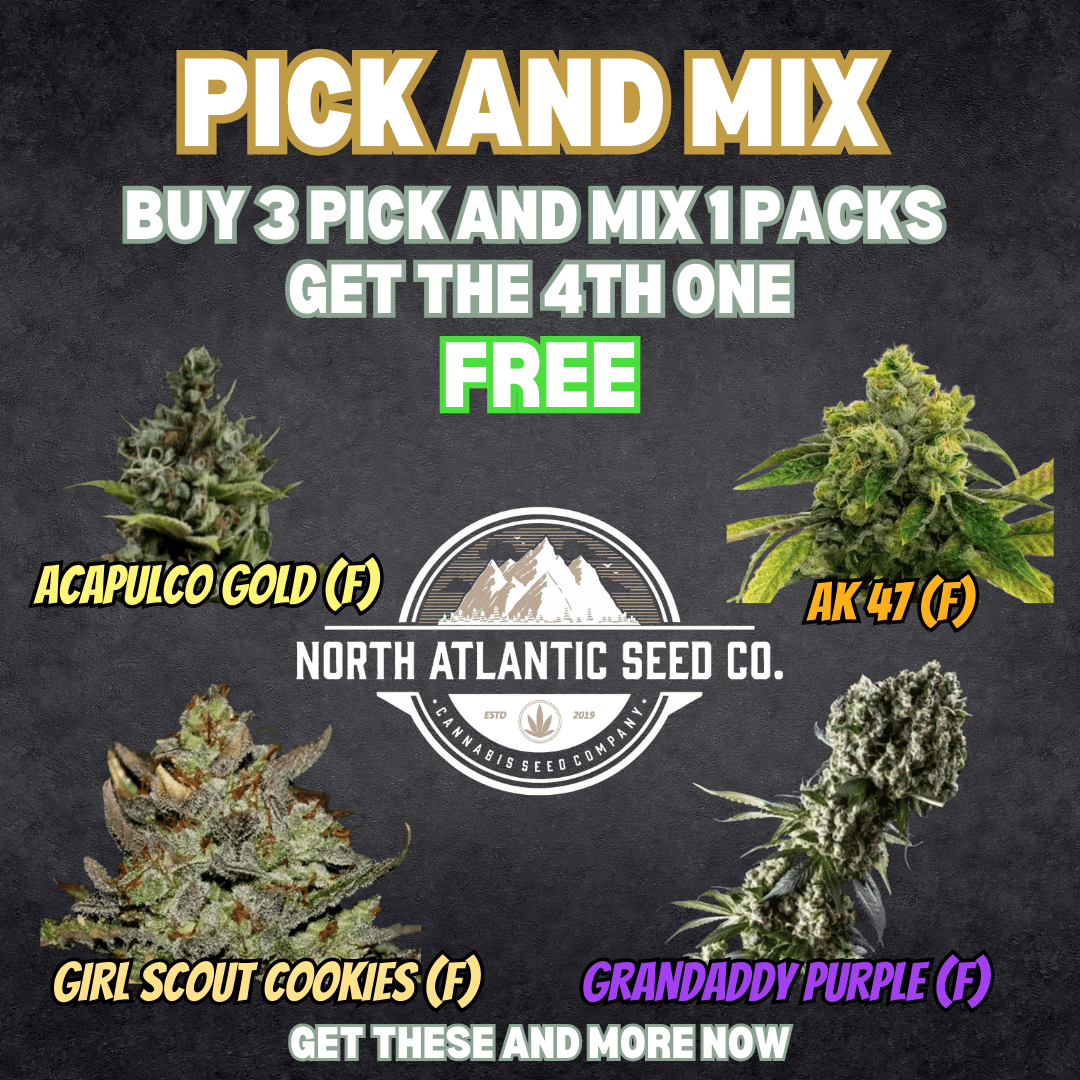 Pick and Mix cannabis seeds