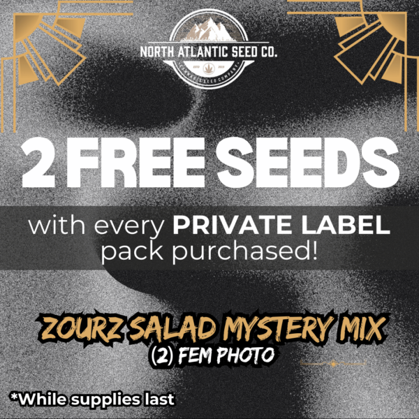 Bulk White Label - Private Label's promotional image