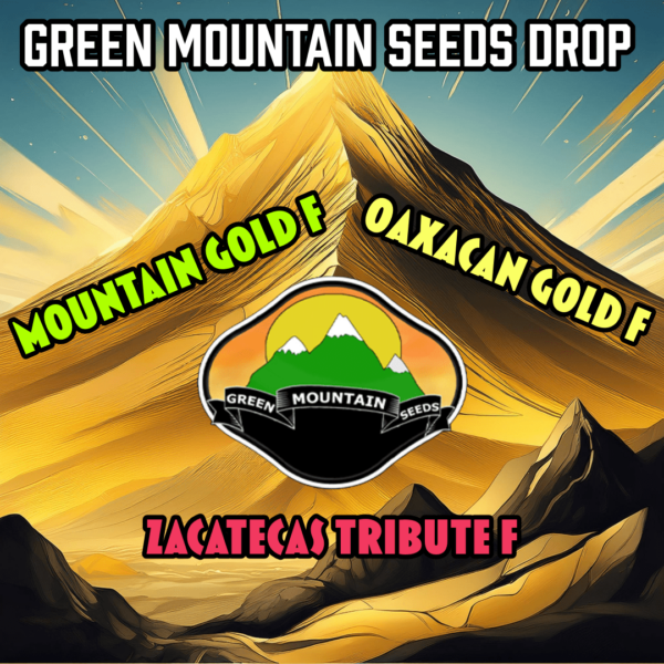 Green Mountain Seeds's logo or representative image