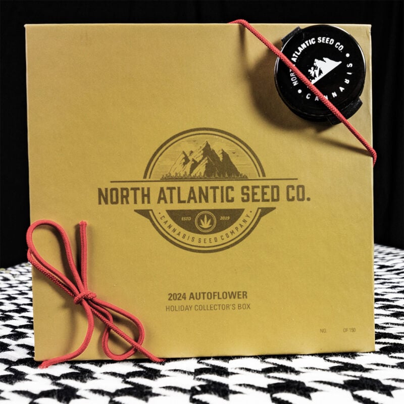 North Atlantic seed co. Holiday Collector's Box- Yellow Autoflowering