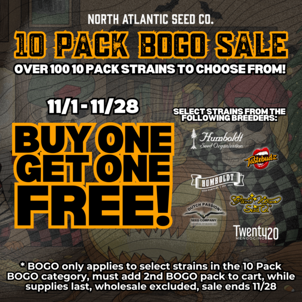 10 Pack BOGO Sale!'s promotional image