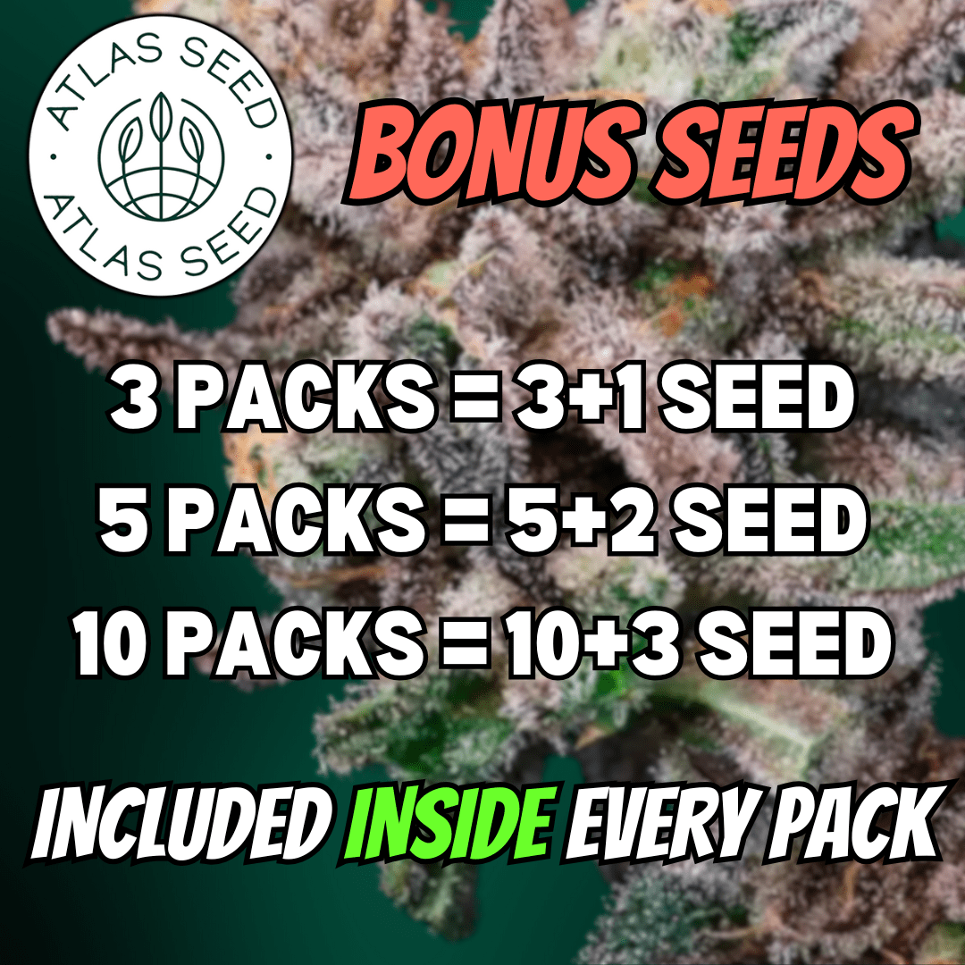 Atlas Seed cannabis seeds