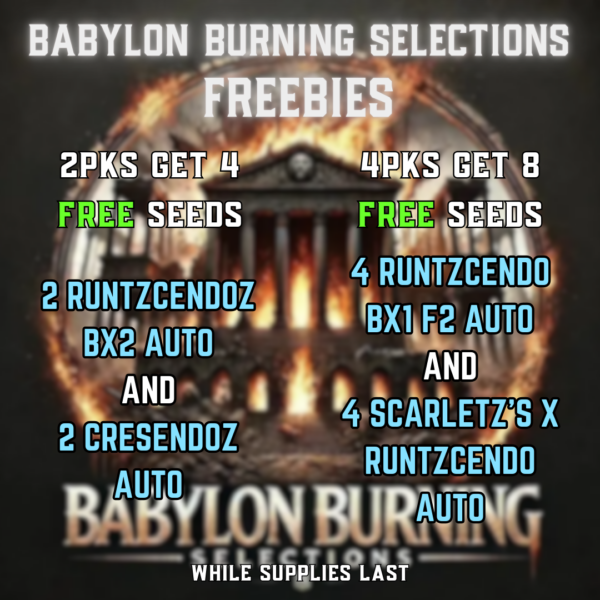 Babylon Burning Selections's promotional image