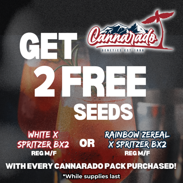 Cannarado Genetics's promotional image