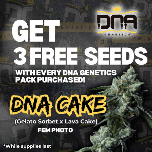 DNA Genetics's promotional image