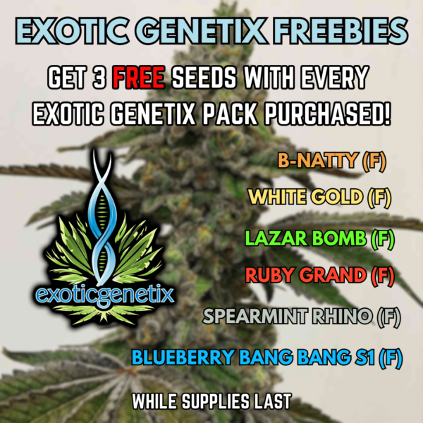 Exotic Genetix's promotional image