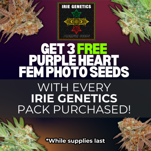 Irie Genetics's promotional image