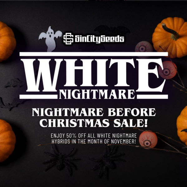 White Nightmare Line's promotional image