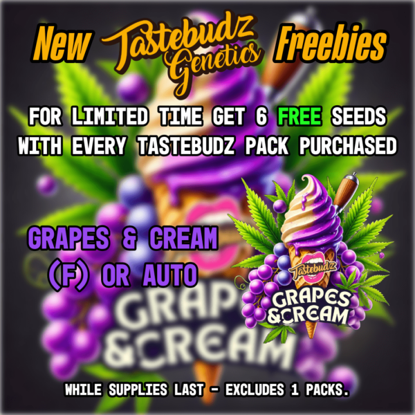 Tastebudz's promotional image