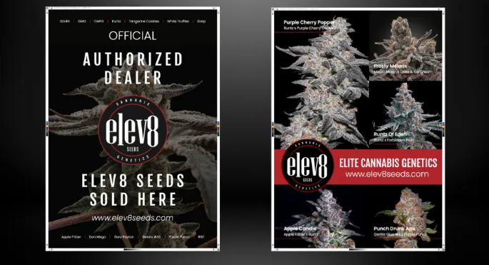 elev8 Catalogs